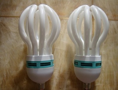 【廠家批發(fā)17管徑5U蓮花節(jié)能燈 特價蓮花系列節(jié)能燈】價格,廠家,圖片,節(jié)能燈,江門市荷塘霞光照明電器廠-