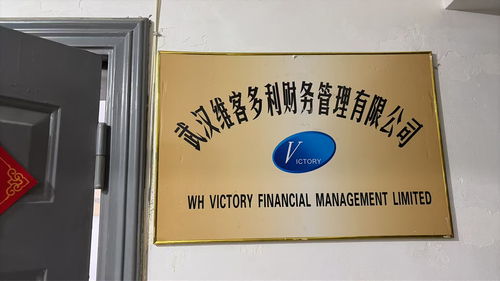 2026年5月企業(yè)主必看 武漢財(cái)務(wù)外包與軟件外包服務(wù)深度解析
