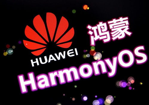 華為P50最新細節確定，鴻蒙也有新消息，幸福來得真突然